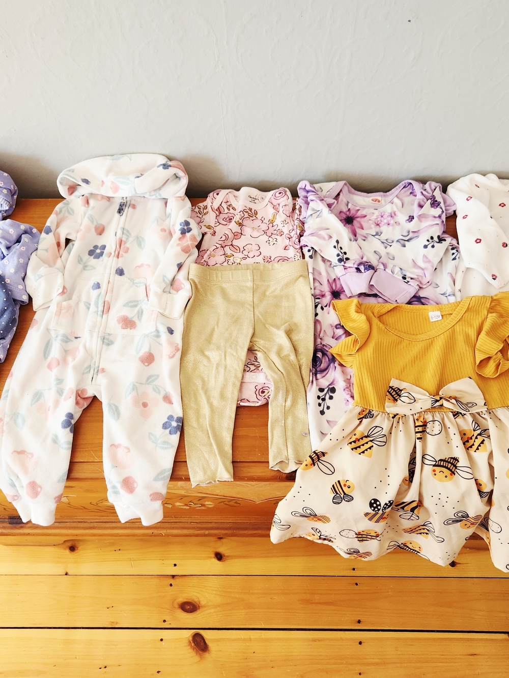 6-9 Month Baby Girls Flower, Bird, and Bugs Bundle